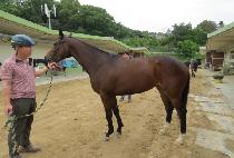 �������� (NURI EUTTEUM) ����