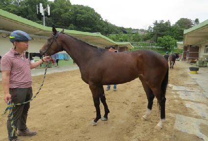 �������� ����