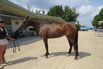 �����̿����� (P.K WARRIOR) ����