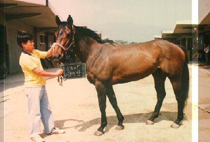 ������ ����