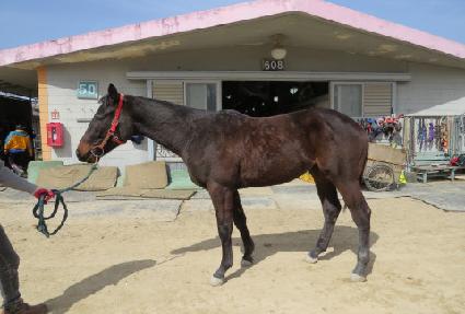 ť�ǵ�Ŀ�ǵ� ����