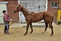 ���ָ��� (UNJU MAGIC) ����