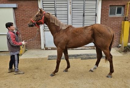 ���ָ��� ����