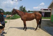 �׶�þƽ� (GRACIAS) ����