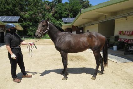 �������ġ ����