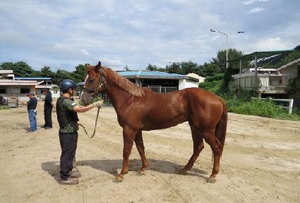 �̽�Ʈ���� ����