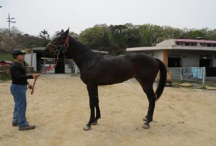 �¸���� ����