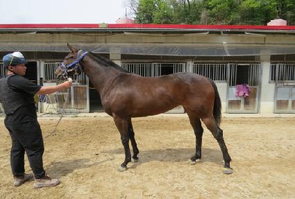 ��½������� ����