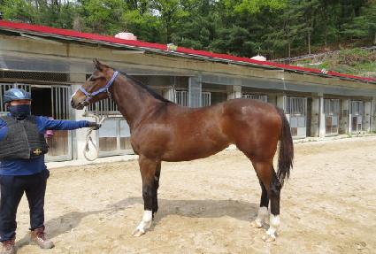 ����÷��� ����