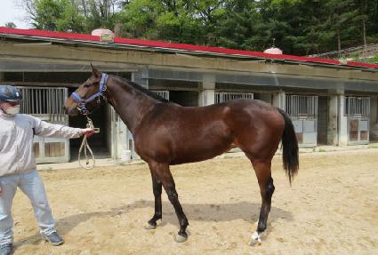 ������̳� ����