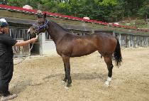 ��´����� (RAON THE BEONGAE) ����