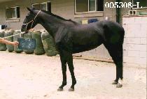 �޺� (DAL BYEN) ����