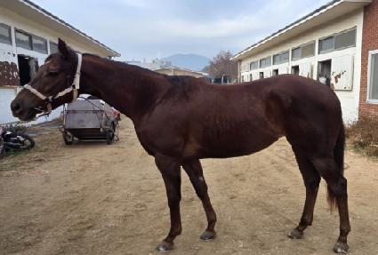 ������� ����