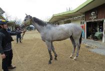 ���ݴٿ� (MANGEUM DAON) ����