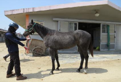 ����Ʈ���� ����