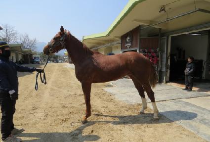 ����ũ��� ����