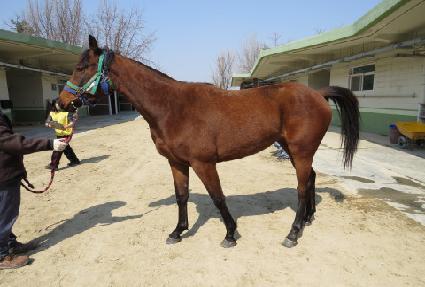 ����ü�̼� ����