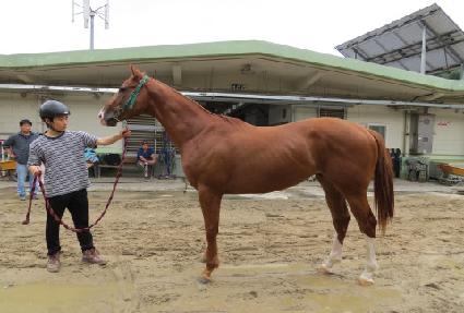 ����ŷ ����