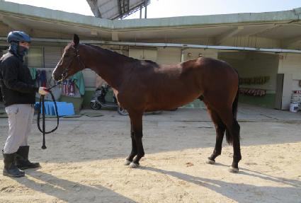 ���������� ����