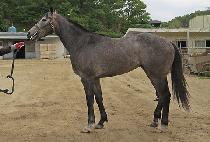 ����Ʈ�� (SPURT BIT) ����