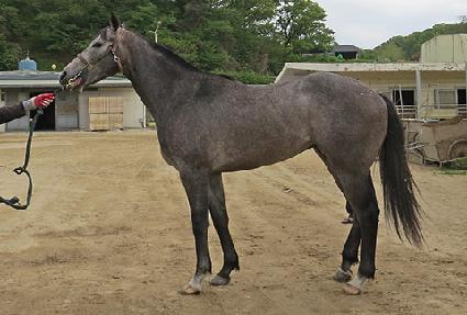 ����Ʈ�� ����