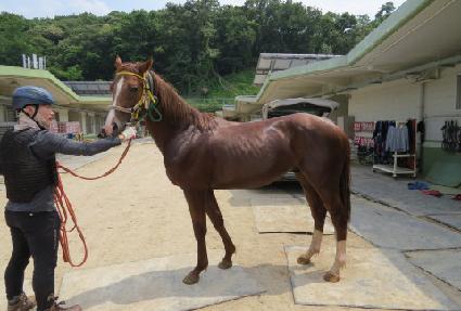 ������ε� ����