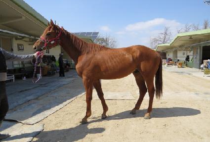 �̽����÷��� ����