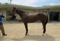 ���座��Ű (RED BELL LUCKY) ����