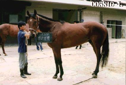 �������� ����