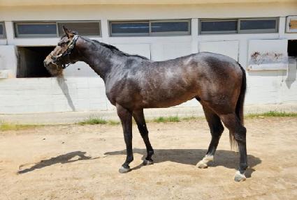 ���̴׿� ����