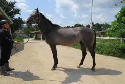 ���������� ����