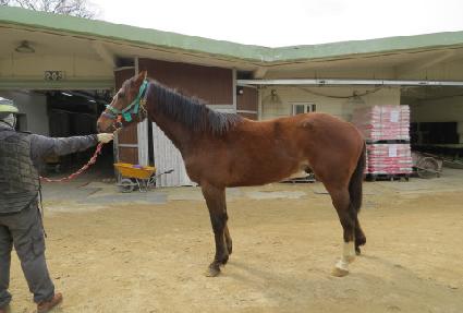 �̽ʳ⼼�� ����