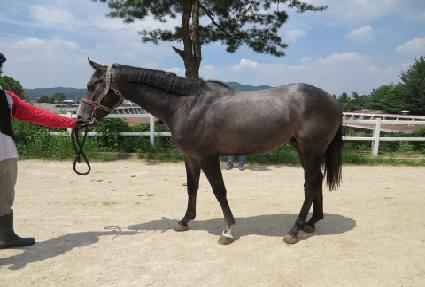 ����Ƽè�� ����