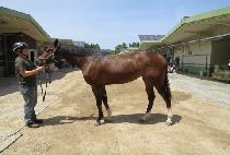 �츶�� (UMARU) ����