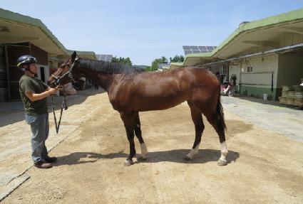 �츶�� ����