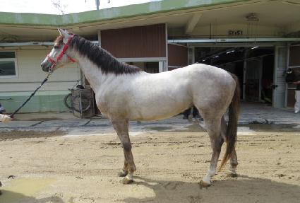 �뵿�븶 ����