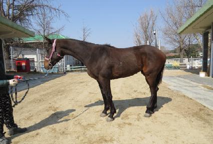 ��ǳ�� ����