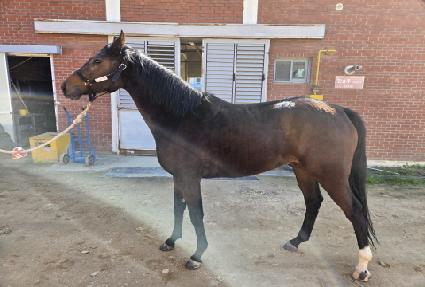 ��ũ�� ����