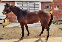 Ȧ������ (HOLY NIKE) ����