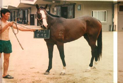 �ƽø� ����