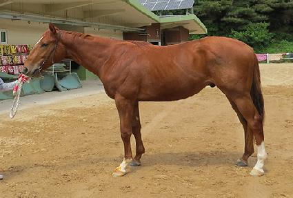 �����ҵ� ����