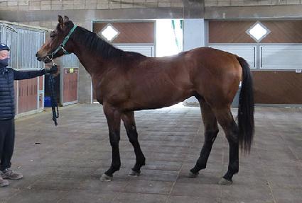 ĸƾ��ĥ�� ����