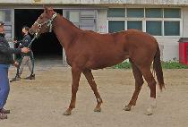 ����Ȧ������ (MOONHAK HOLIDAY) ����