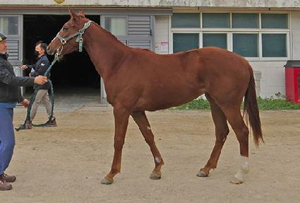 ����Ȧ������ ����