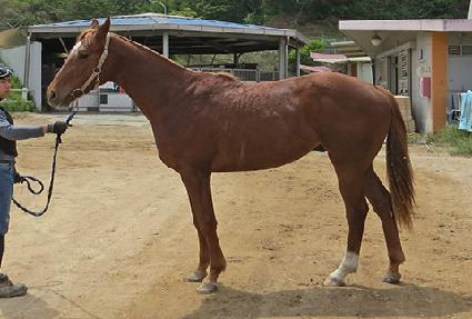 �Ŀ����̿� ����