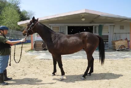 ��������� ����