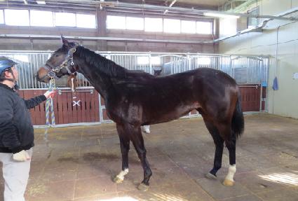 ���� ����