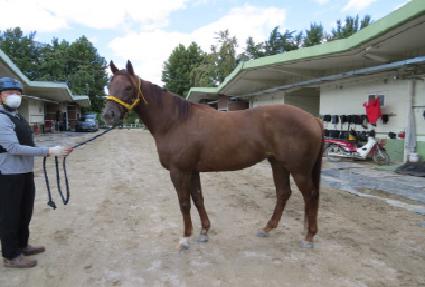 �������� ����