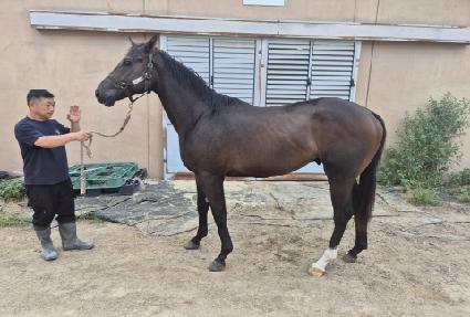 �������� ����