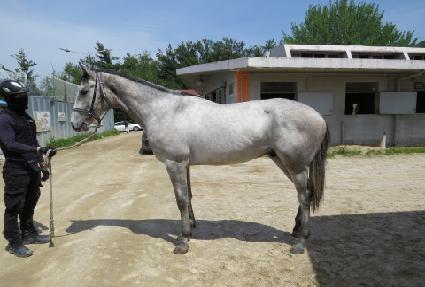 ���극�̽� ����